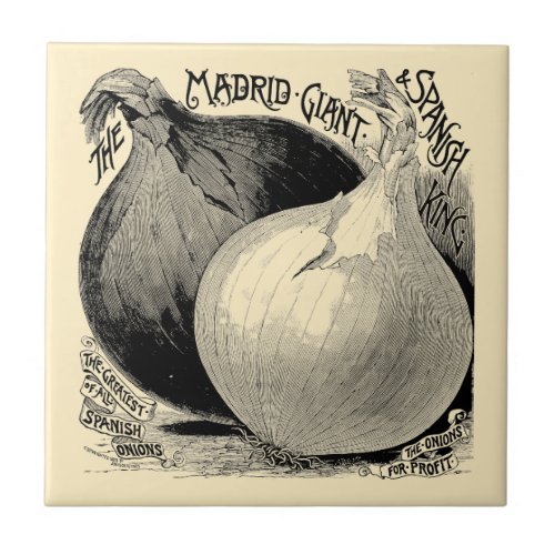 Vintage Victorian Era Fruit  Vegetable Onions Ads Ceramic Tile