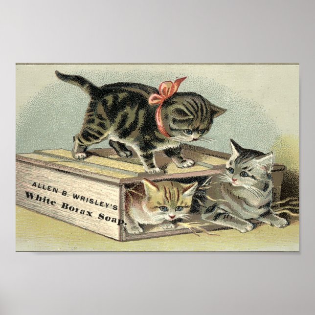 Vintage Victorian Era Kittens Soap Ad Poster (Front)