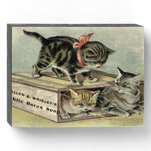 Vintage Victorian Era Kittens Soap Ad Wooden Box Sign