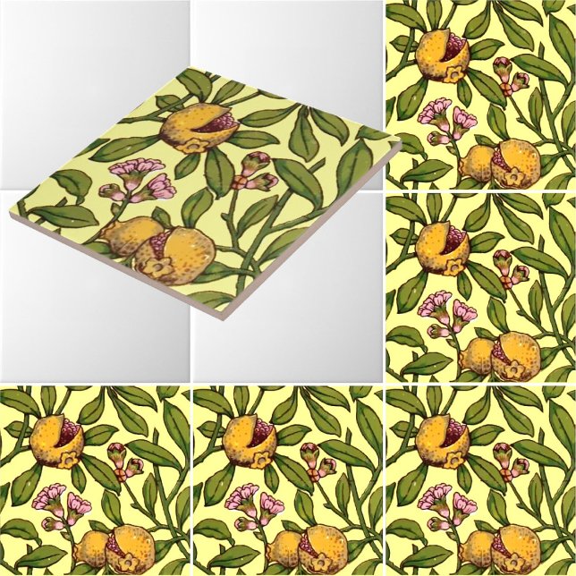 Vintage Victorian Era Pomegranate Pattern Ceramic Tile (Creator Uploaded)