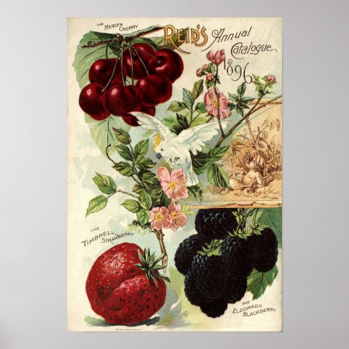 Vintage Victorian Era Reids Seed Catalog Cover Poster