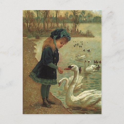 VINTAGE VICTORIAN Feeding Trumpeter Swans POSTCARD