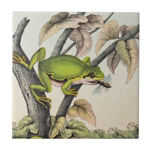 Vintage Victorian Frog eating Fly Ceramic Tile