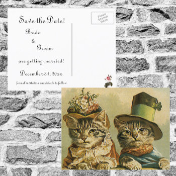 Vintage Victorian Funny Cats In Hats Save The Date Announcement Postcard by Tchotchke at Zazzle