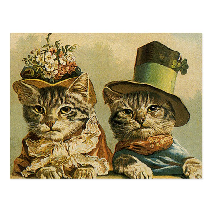 Vintage Victorian Funny Cats in Hats Save the Date Post Cards