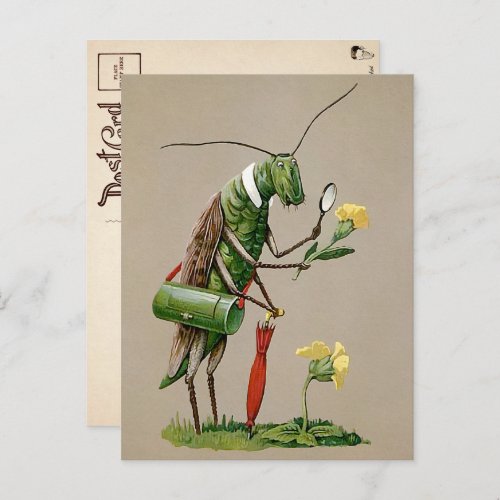 Vintage Victorian Grasshopper Postcard