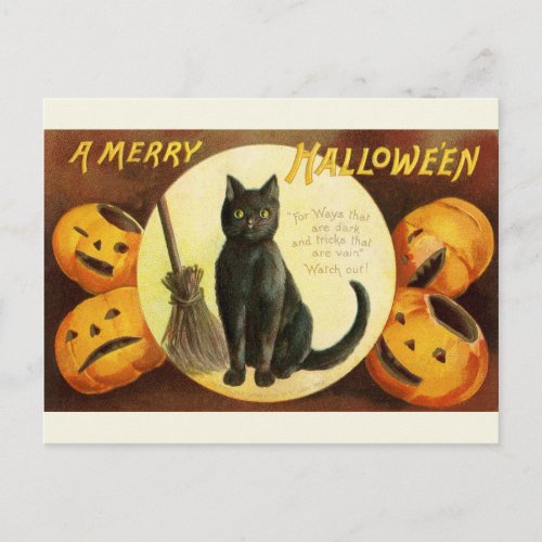 Vintage Victorian Halloween Black Cat and Pumpkins Postcard