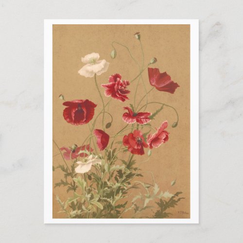 Vintage Victorian Lithograph of Poppies Postcard