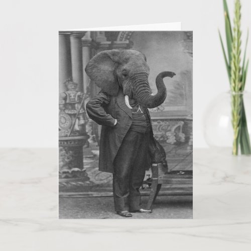 Vintage Victorian Man in Suit with Elephant Head P Card