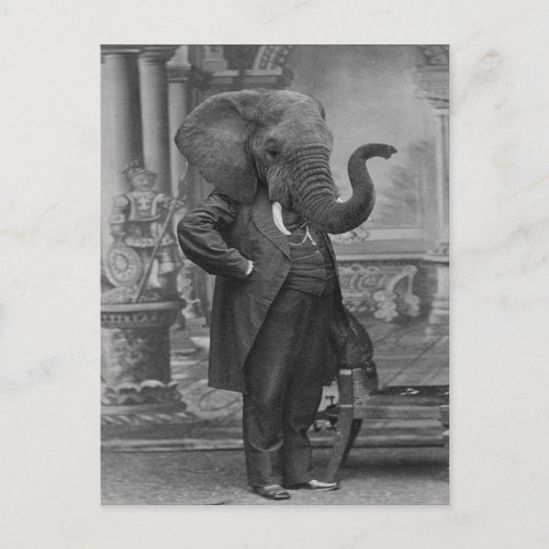 Vintage Victorian Man in Suit with Elephant Head Postcard