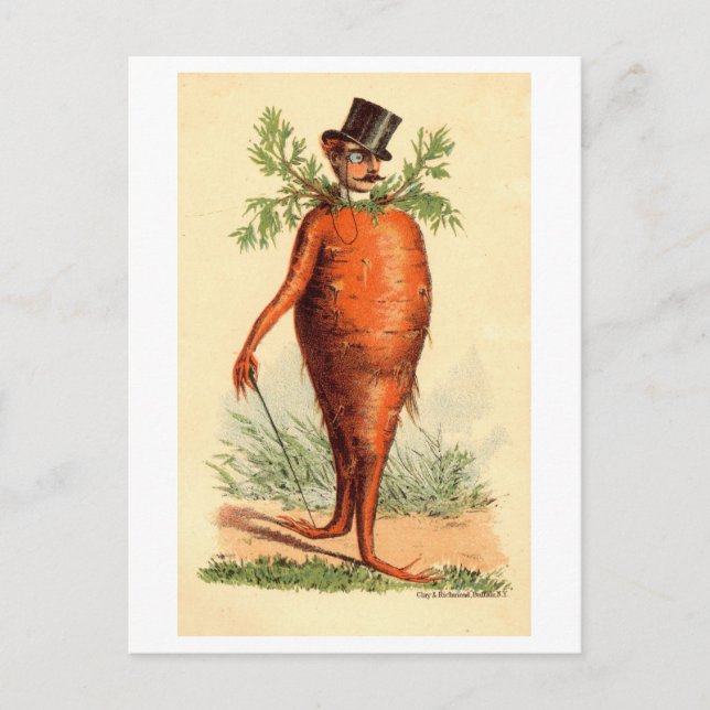 Vintage Victorian Man with Carrot Body Postcard (Front)