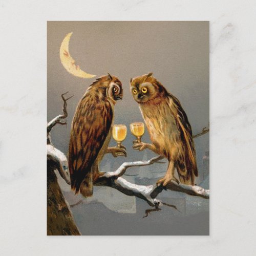 Vintage Victorian Owls Postcard