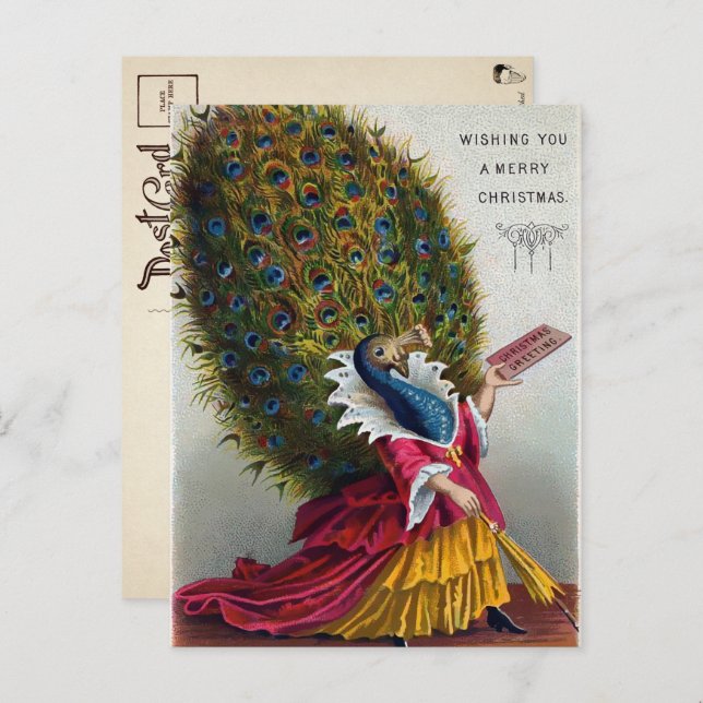 Vintage Victorian Peacock Christmas Postcard  (Front/Back)
