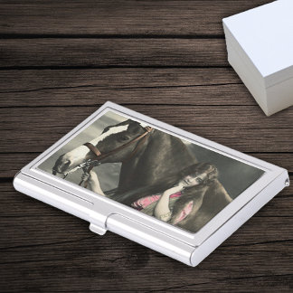 Vintage Victorian Photograph Lady Pink Dress Horse Business Card Case