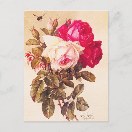 Vintage Victorian Romantic Red And Pink Roses Postcard