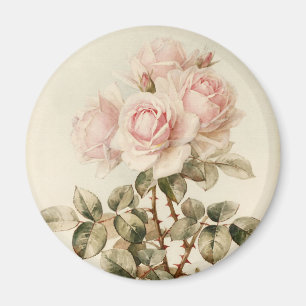 Vintage Victorian Romantic Roses Magnet
