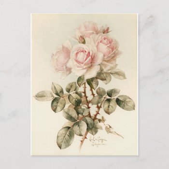 Vintage Victorian Romantic Roses Postcard by GirlyTemplate at Zazzle
