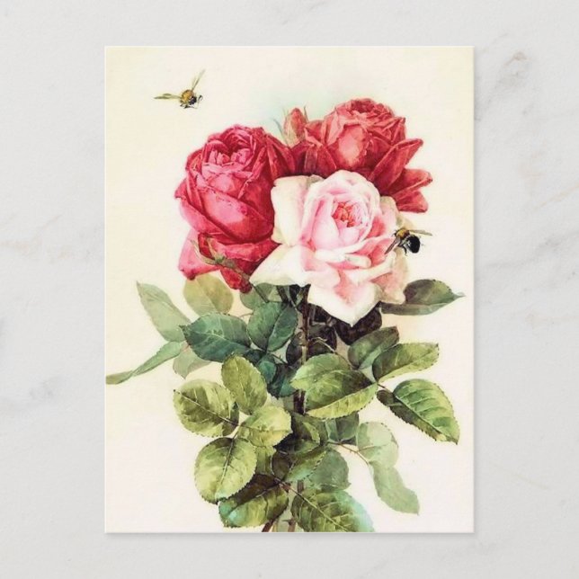 Vintage Victorian Rose Bouquet Postcard (Front)