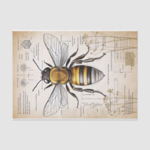 Vintage Victorian Style Bee Explanation Tissue Paper
