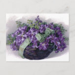 Vintage Violets Basket Postcard