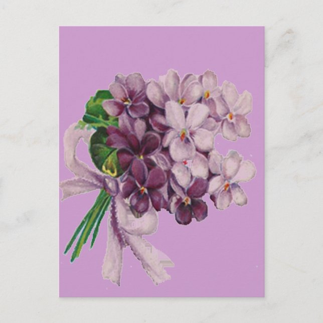 Vintage Violets Nosegay Bouquet Postcard (Front)