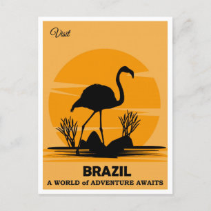 Vintage Visit Brazil Flamingo Travel Postcard