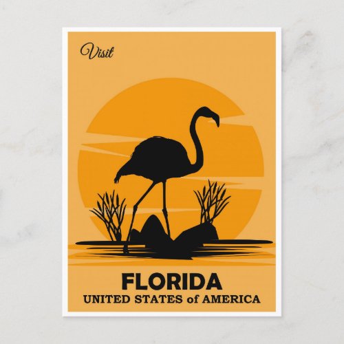 Vintage Visit Florida Flamingo Travel Postcard