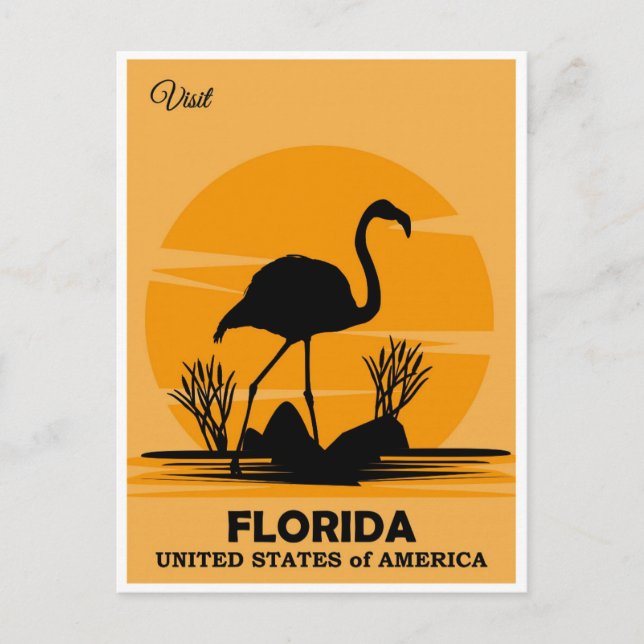 Vintage Visit Florida Flamingo Travel Postcard (Front)