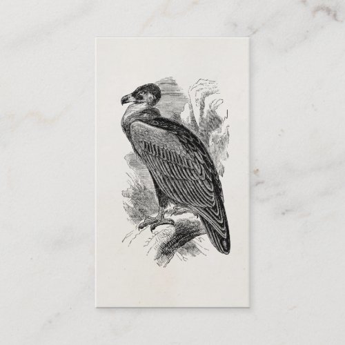 Vintage Vulture Bird Personalized Vultures Birds Business Card