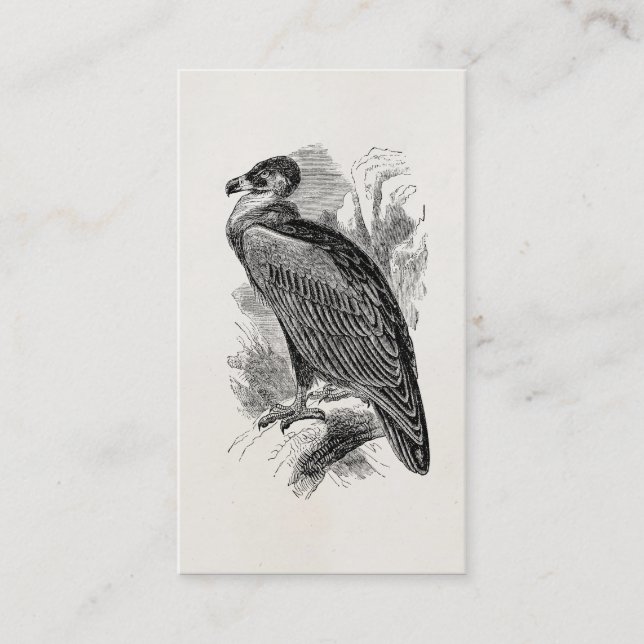 Vintage Vulture Bird Personalized Vultures Birds Business Card (Front)