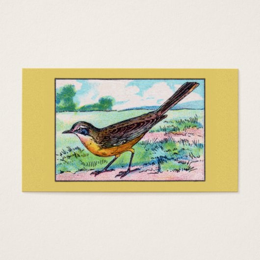 Vintage Wagtail Bird Print (Front)