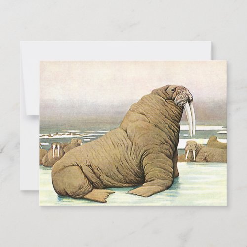 Vintage Walrus on Iceberg in Arctic Wild Animals