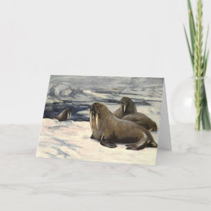 Vintage Walruses in the Arctic Snow by CE Swan Card