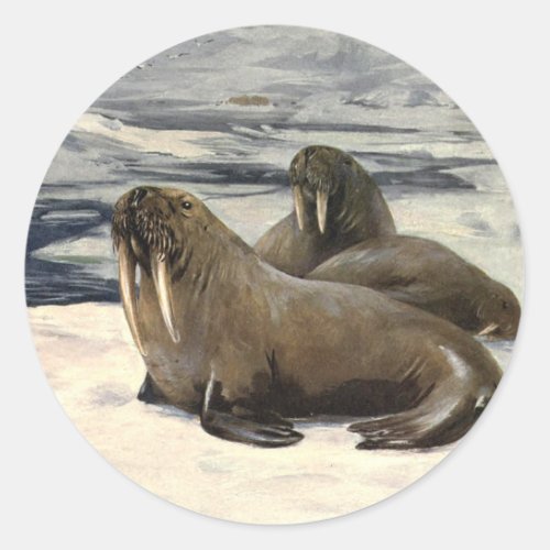 Vintage Walruses in the Arctic Snow by CE Swan Classic Round Sticker
