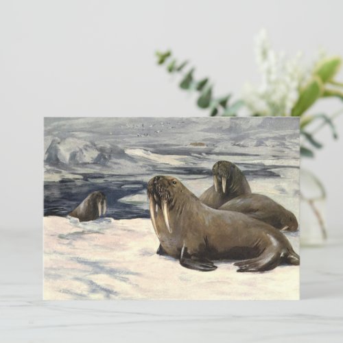 Vintage Walruses in the Arctic Snow by CE Swan Invitation
