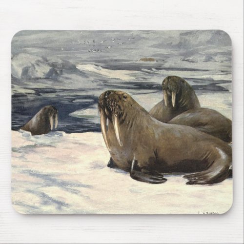 Vintage Walruses in the Arctic Snow by CE Swan Mouse Pad