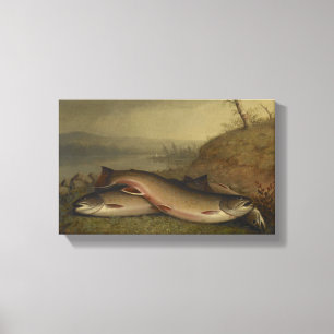 Vintage Walter Brackett Trout Canvas Print