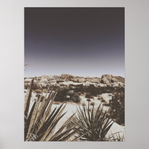 Vintage Warm Toned Joshua Tree Desert Poster