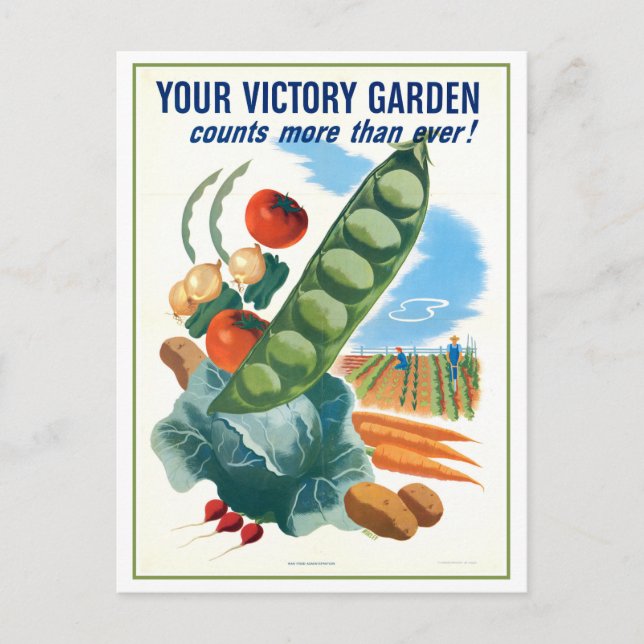 Vintage Wartime Victory Garden Postcard (Front)