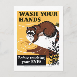 Vintage Wash Your Hands Raccoon Poster Postcard