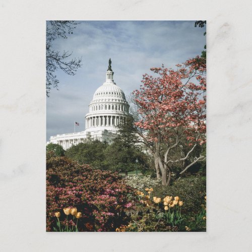 Vintage Washington DC Postcard