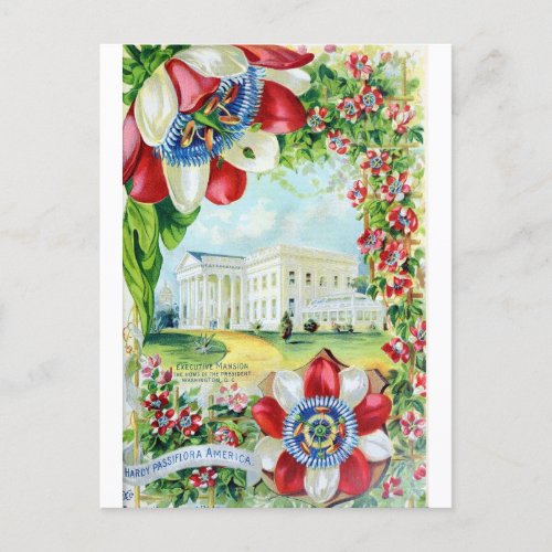 Vintage Washington DC White House Retro Travel Postcard