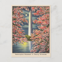 Vintage Washington Monument & Cherry Blossoms DC