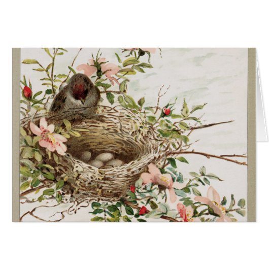 Vintage Watchful Bird Cards (Front Horizontal)