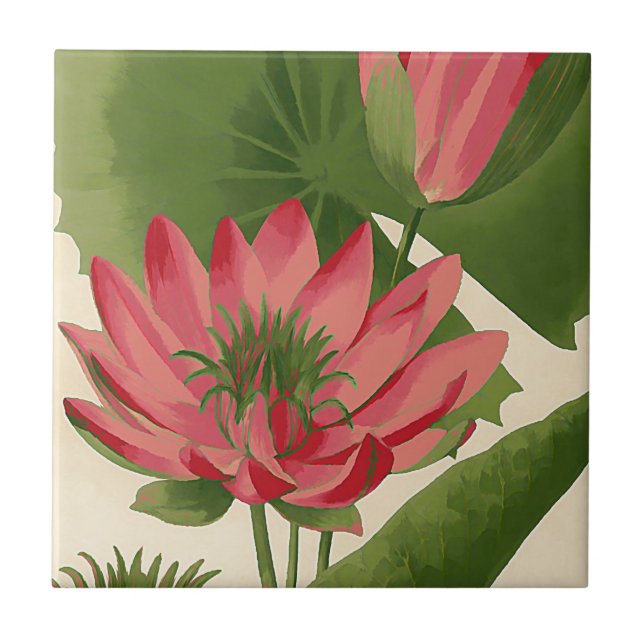 Vintage water lily ceramic tile (Front)