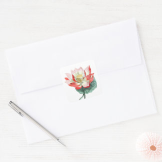 Vintage Water Lily Illustration Spiritual Art Square Sticker