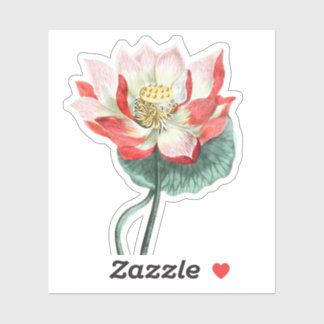 Vintage Water Lily Illustration Spiritual Art Sticker