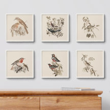 Vintage Watercolor Bird Print Set, Rustic Nature