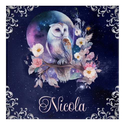 Vintage Watercolor Celestial Fantasy Owl Acrylic Print