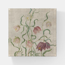 Vintage Watercolor Checkered Lily